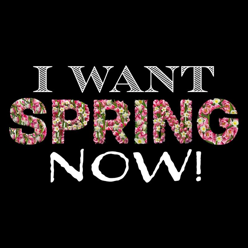spring now ws