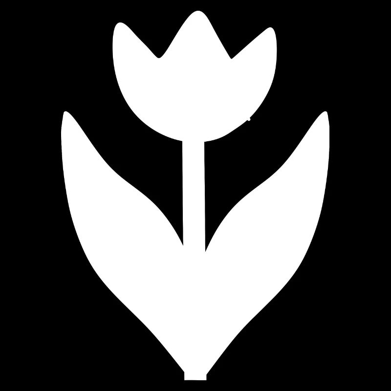 Fleur Blanche Fleur Tulipe Blanche