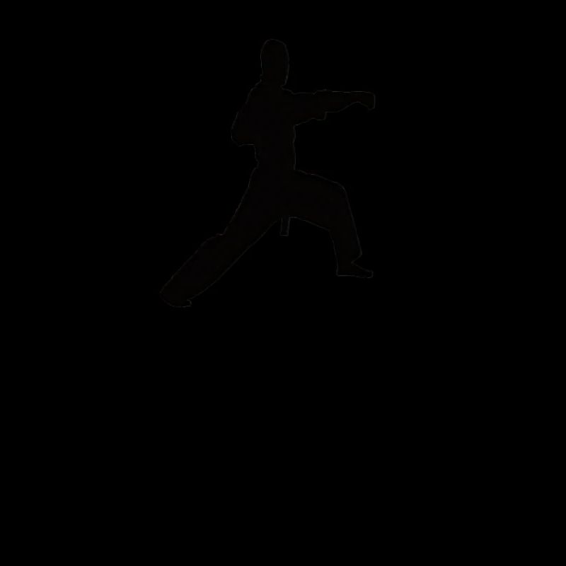 Conception de Taekwondo