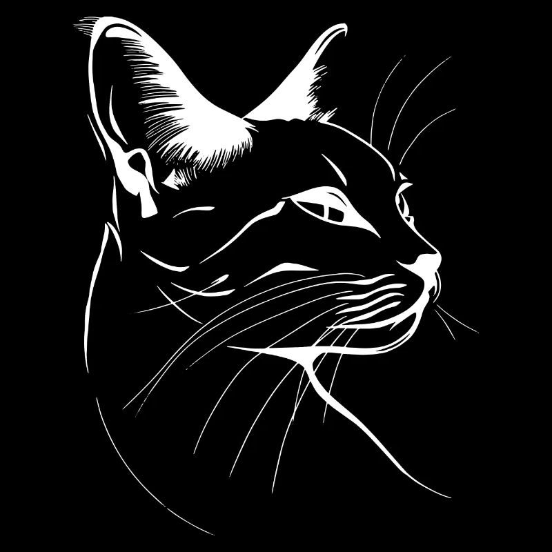 Chat, Motif De Chat, Visage De Chat