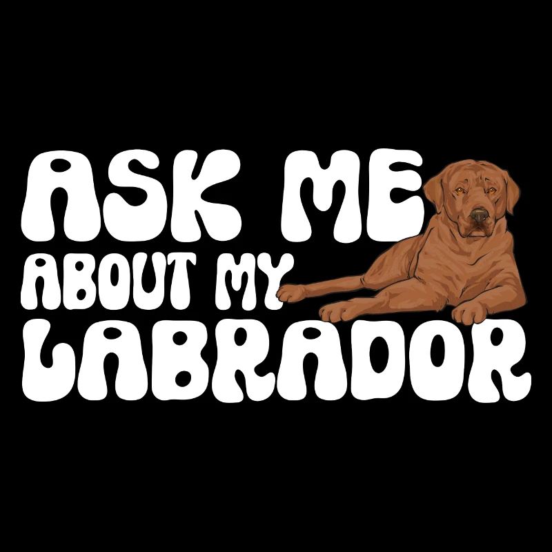 Foxred Labrador Fuchsroter Labrador Retriever