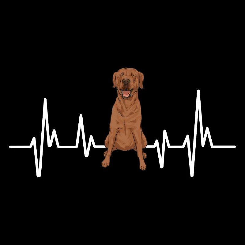 Foxred Labrador Fuchsroter Labrador Retriever