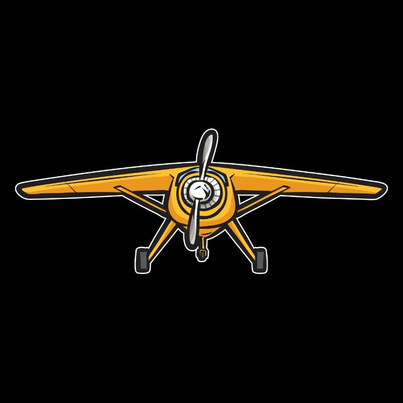 Modèle d’avion télécommandé