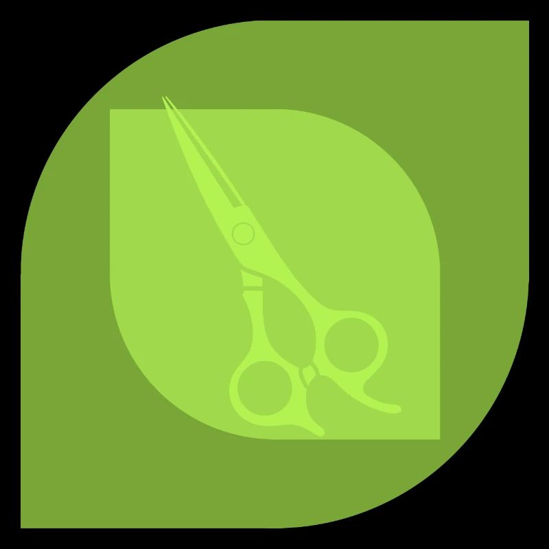 Coiffeur Enseignement de la coiffure
