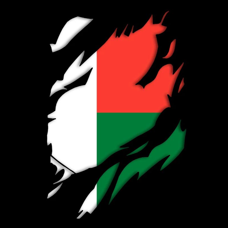 Motif déchiré du drapeau de Madagascar