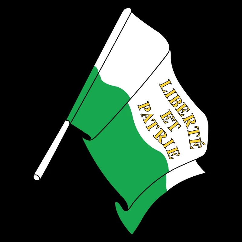 Drapeau Vaud Suisse