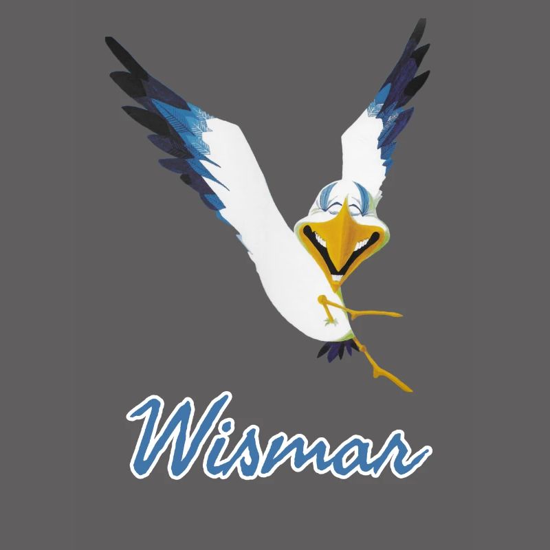 Lachmöwe Wismar
