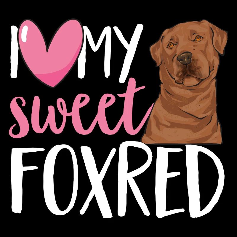 Foxred Labrador Fox Red Labrador Retriever