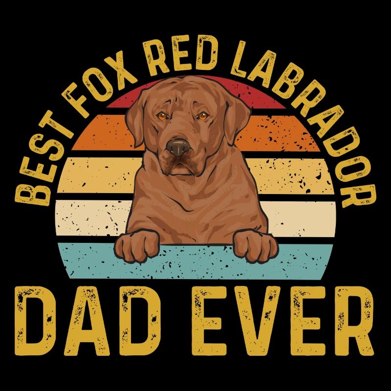 Foxred Labrador Fuchsroter Labrador Retriever