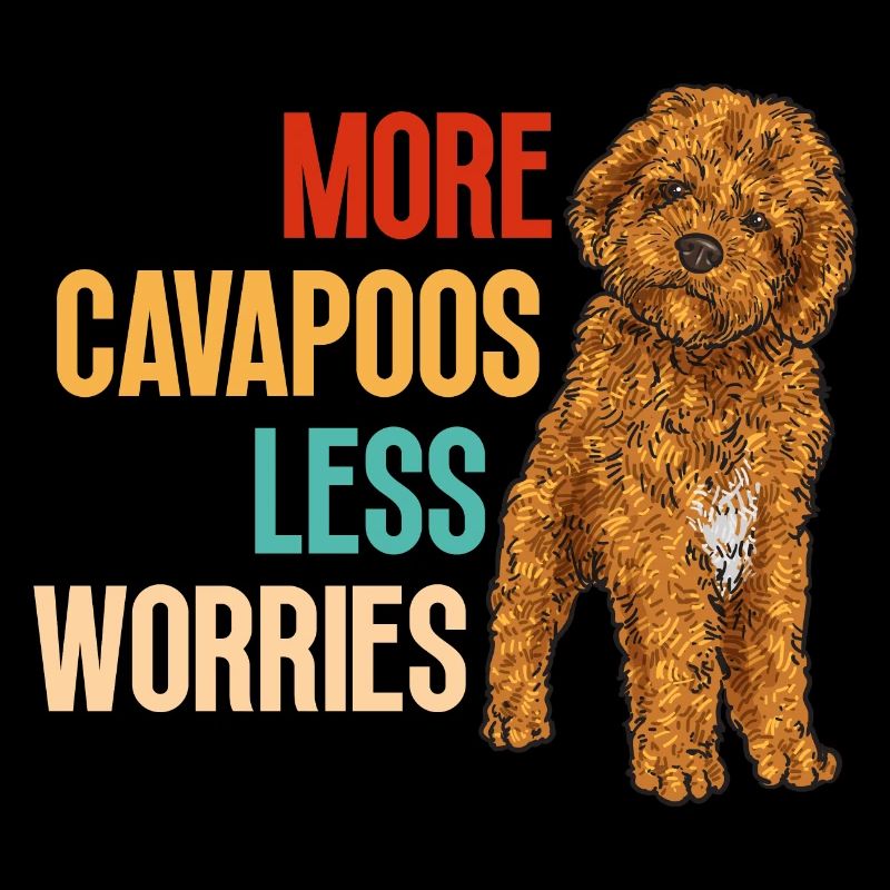 Cavapoo Cavoodle Capoodle Chien