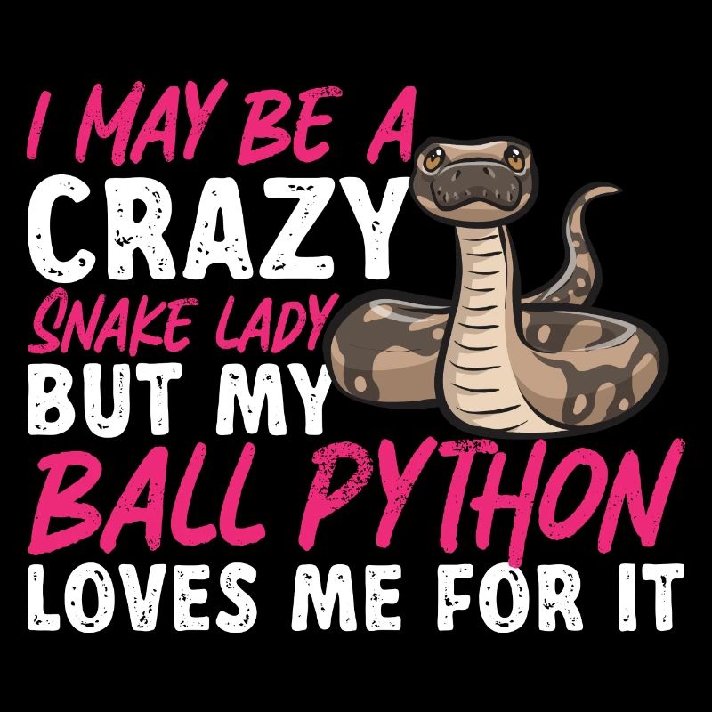 Ball Python Schlange Königspython