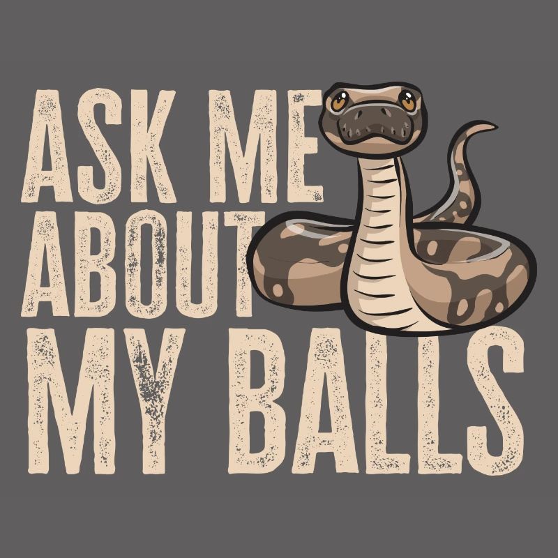 Ball Python Schlange Königspython