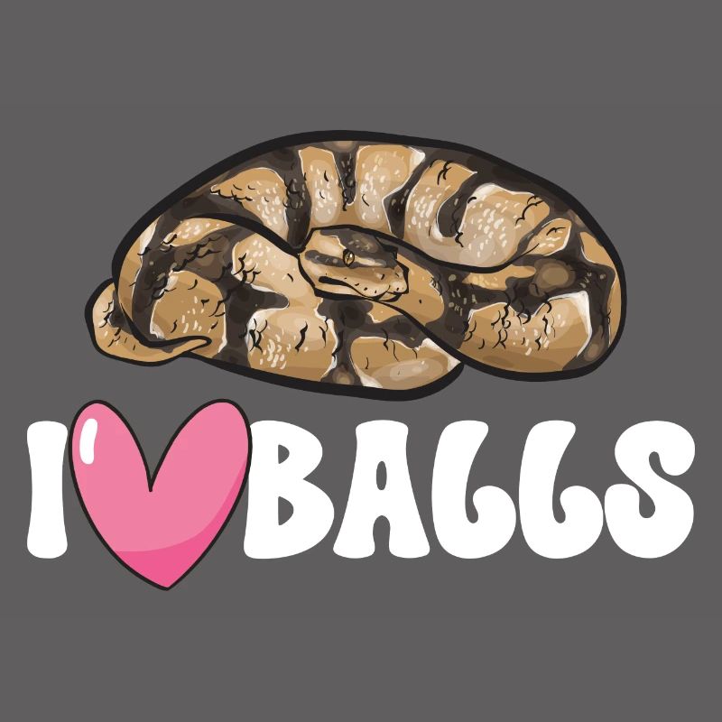 Ball Python Schlange Königspython