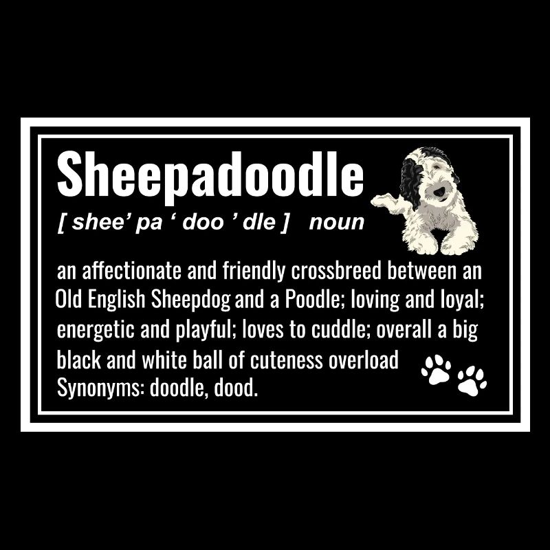 Sheepadoodle Doodle Dog