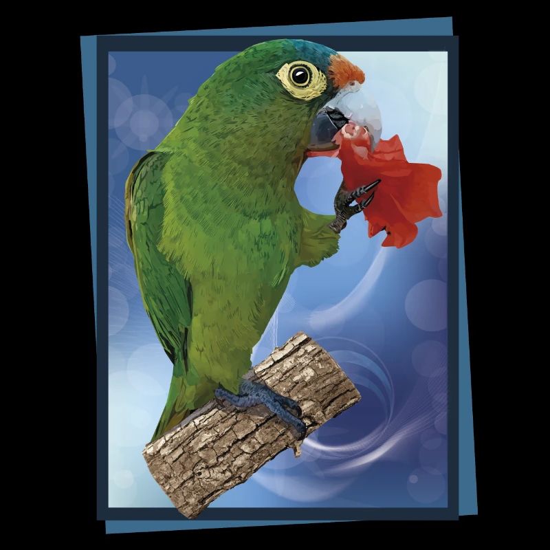 Perruche à front orange