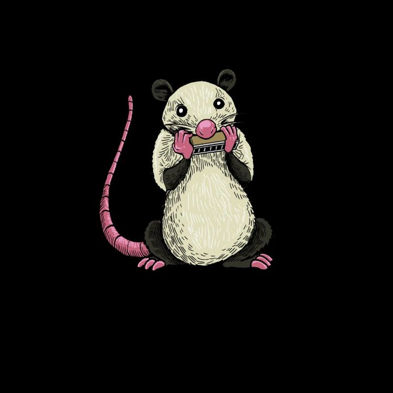 Opossum plays harmonica