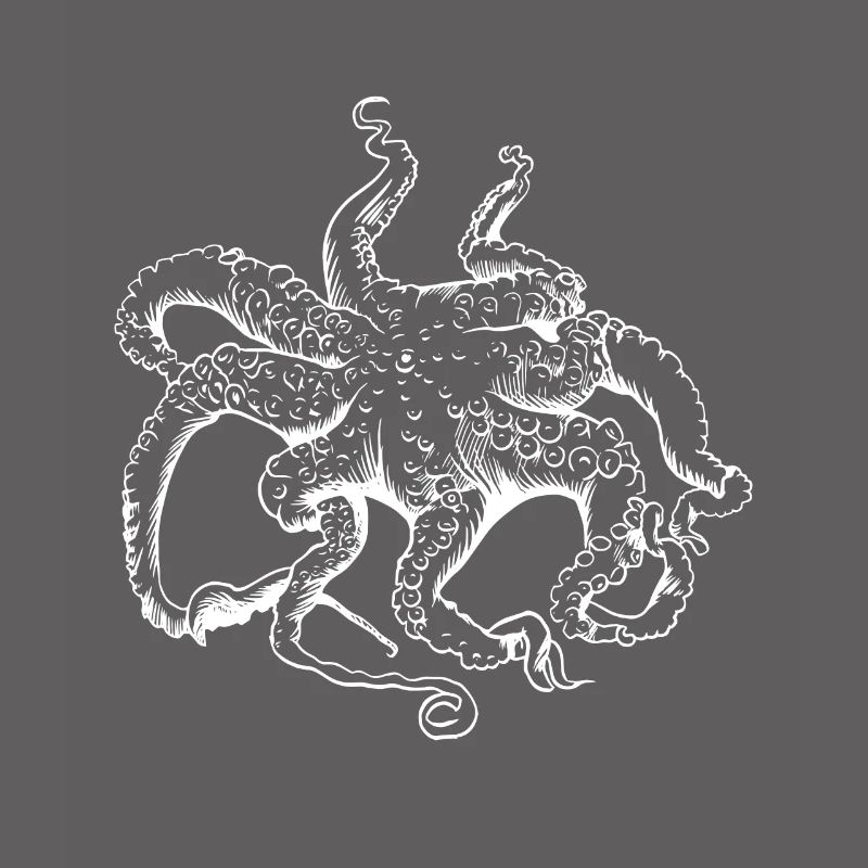 Octopus Squid Tentacle Ocean Ocean