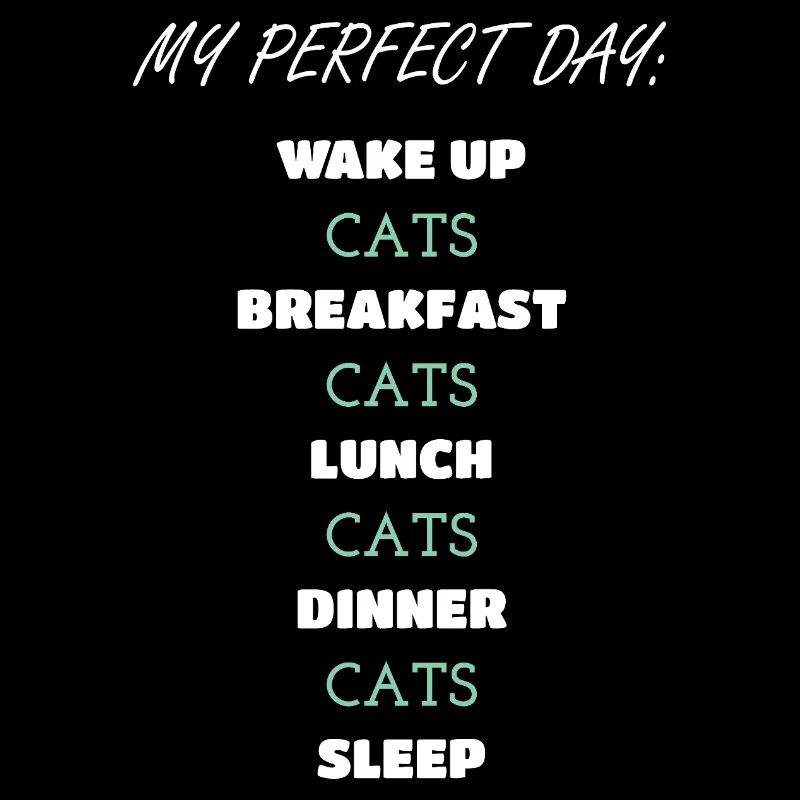 Whimsical Cat Daily Routine Design