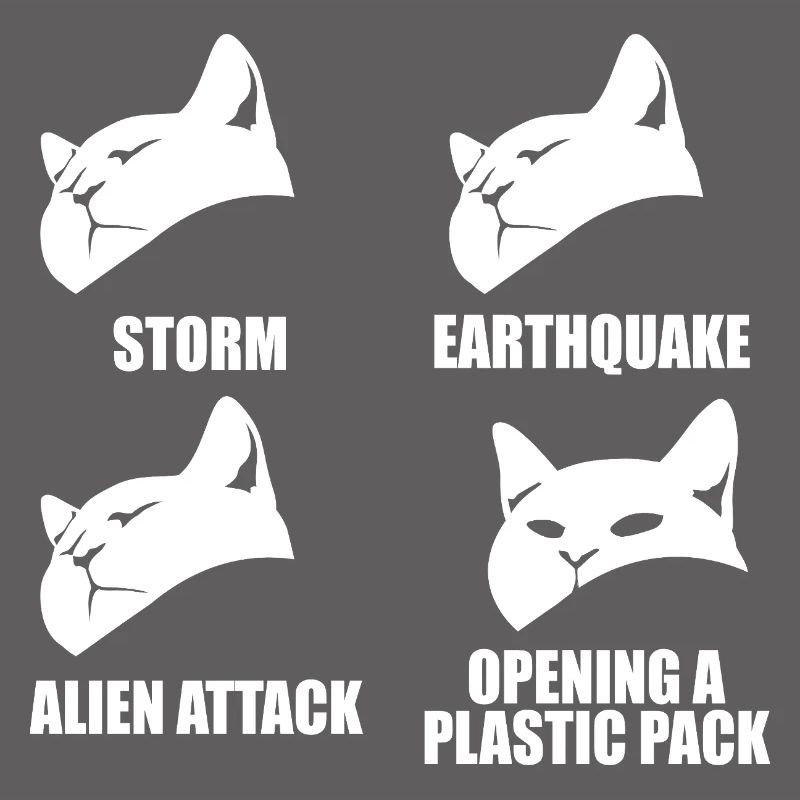 Chat - perception sélective - dire