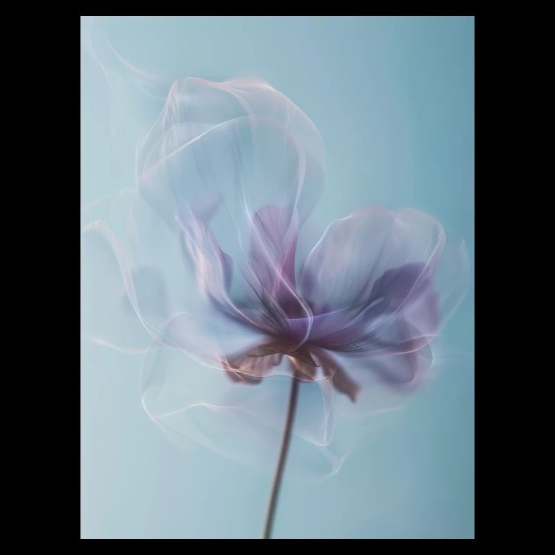 Affiche ICM Flower 3
