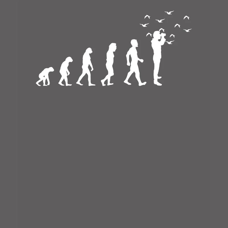 Evolution Oiseau Oiseau Geek