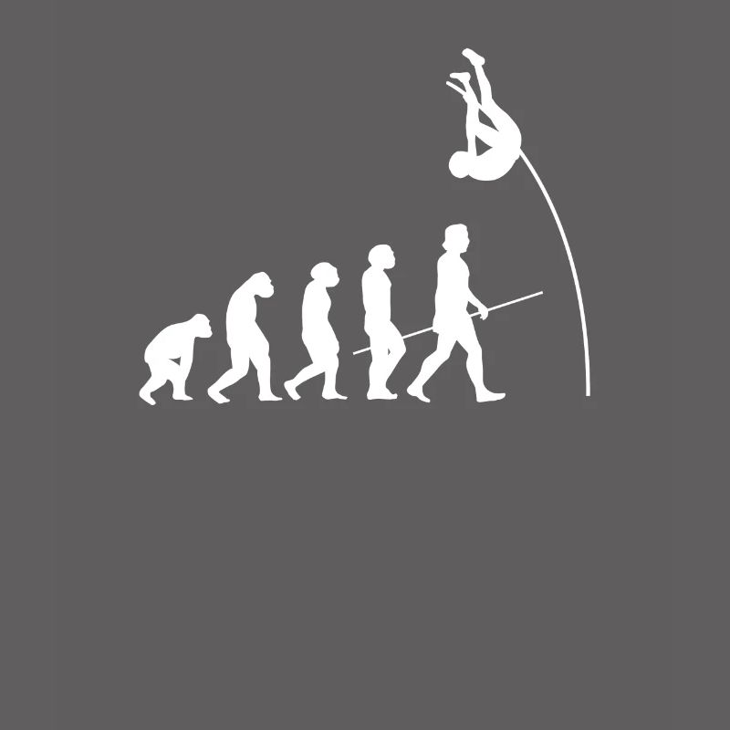Evolution Stabhochsprung Shirt Geschenk