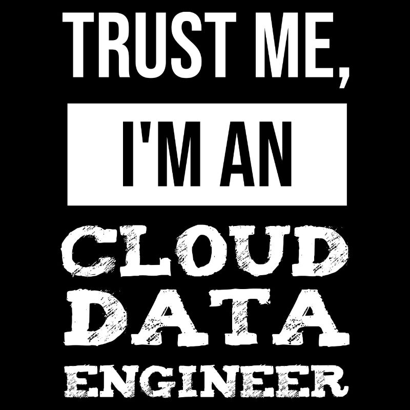 Ingénieur Données Cloud Technicien Données Informatique