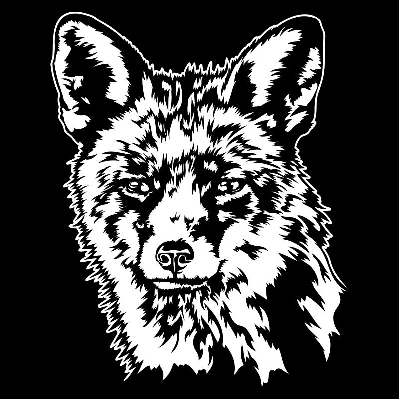 Fox Red Fox Wild Animal Forest Animal Wilsigns