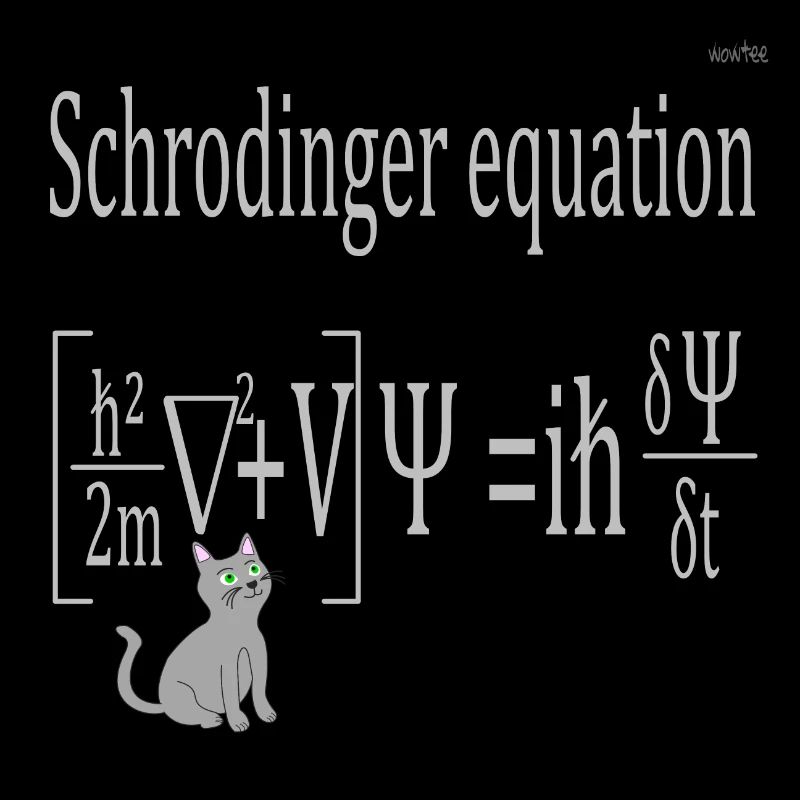 Schrödinger equation