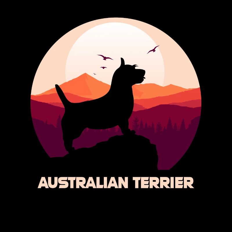 Australian Terrier - Australian Terrier Dog
