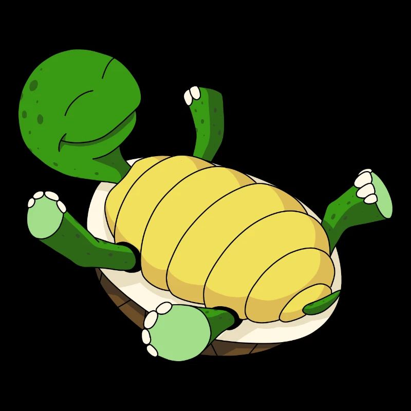 Turtle on its back