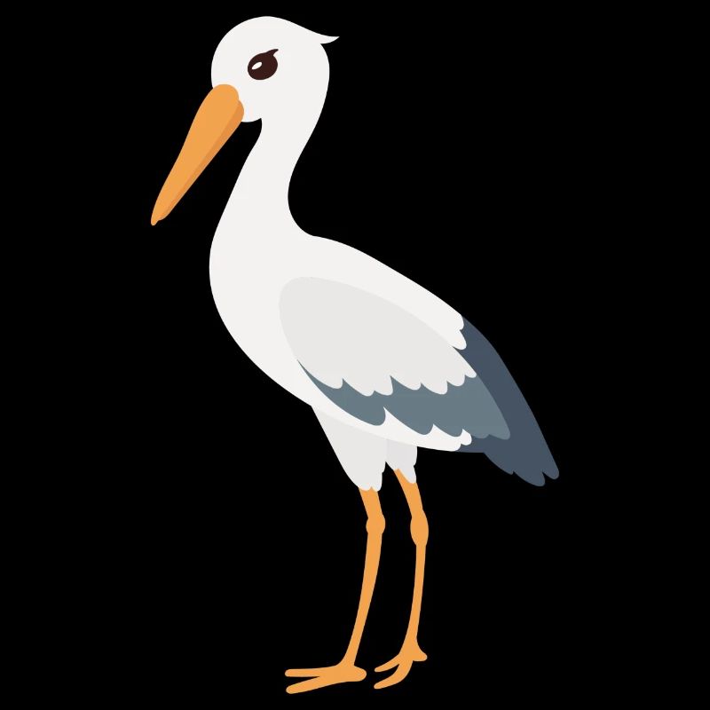 Storch