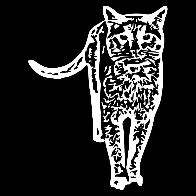 Chat blanc Chat Chat blanc Cadeau