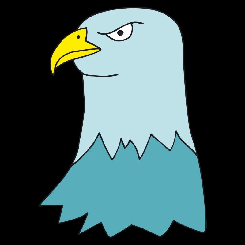 Aigle Turquoise