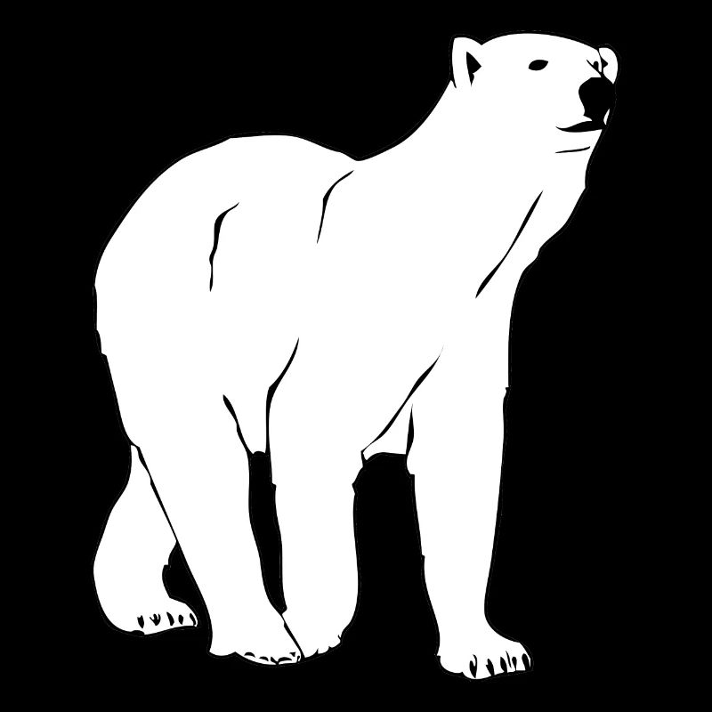 Polar bear - polar bear - arctic