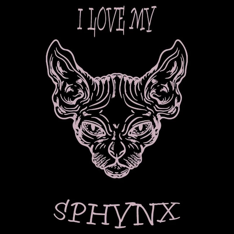 Chat nu Sphynx chat