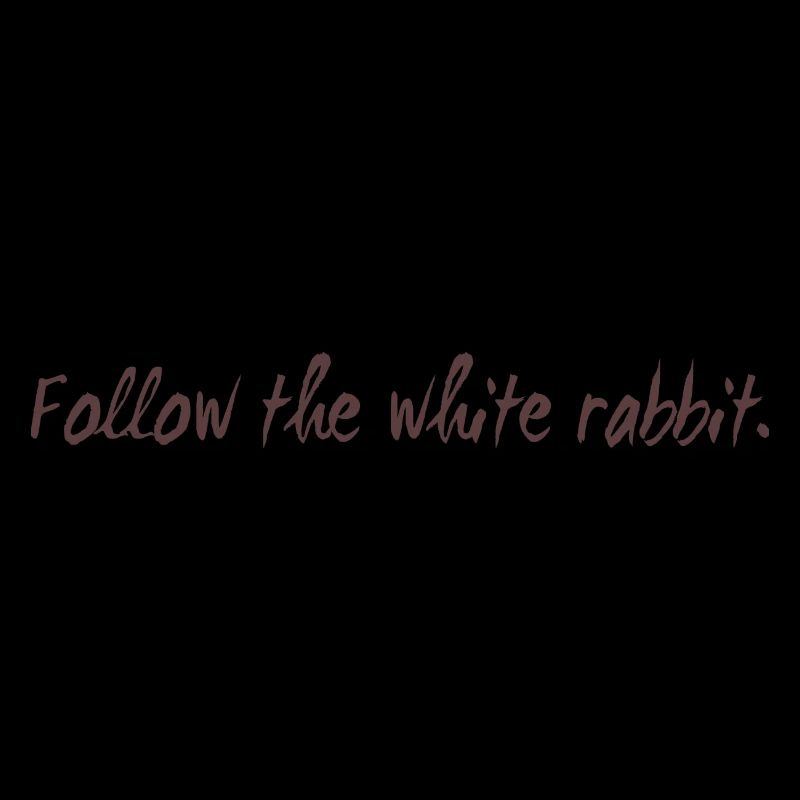 Follow the white rabbit programming gift