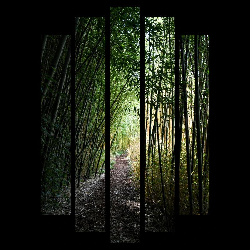 Forêt de Bamboo