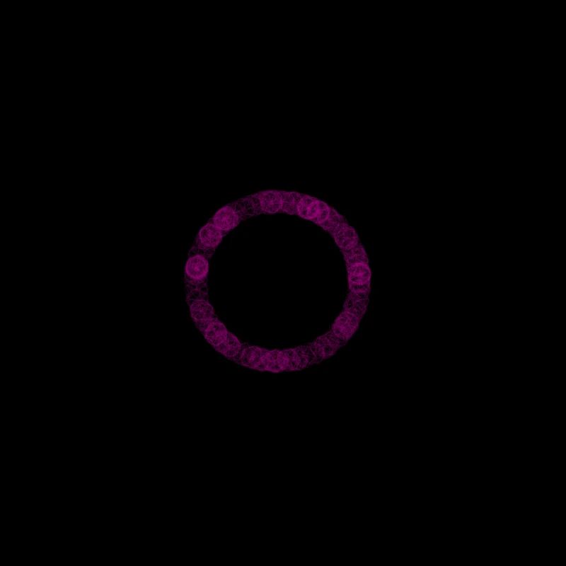 cercle