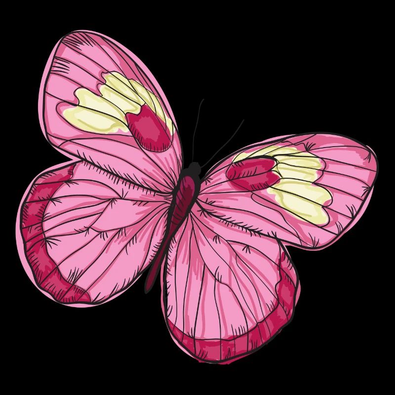 Papillon papillon