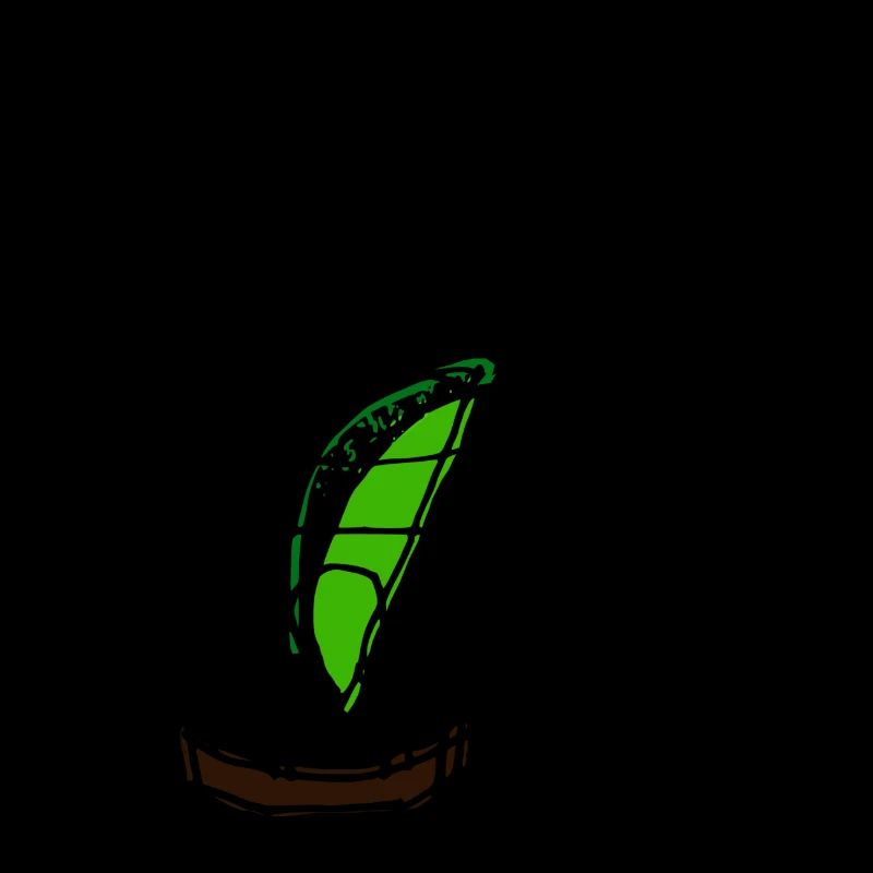 La Havane et . La Havane & Cola