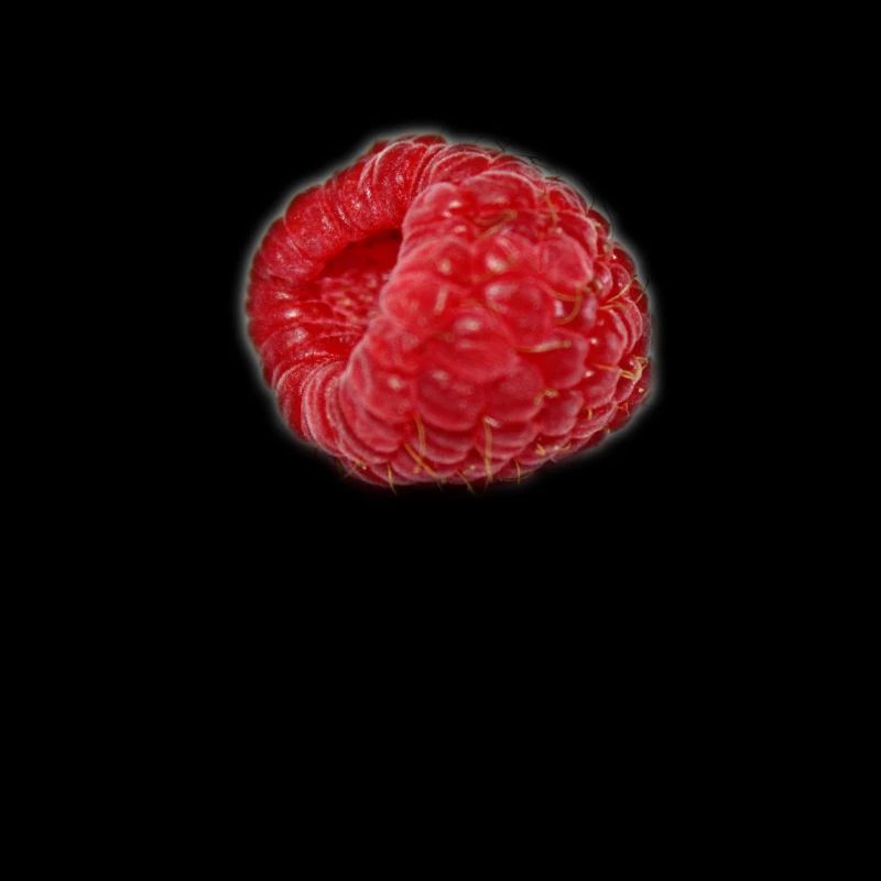 raspberry