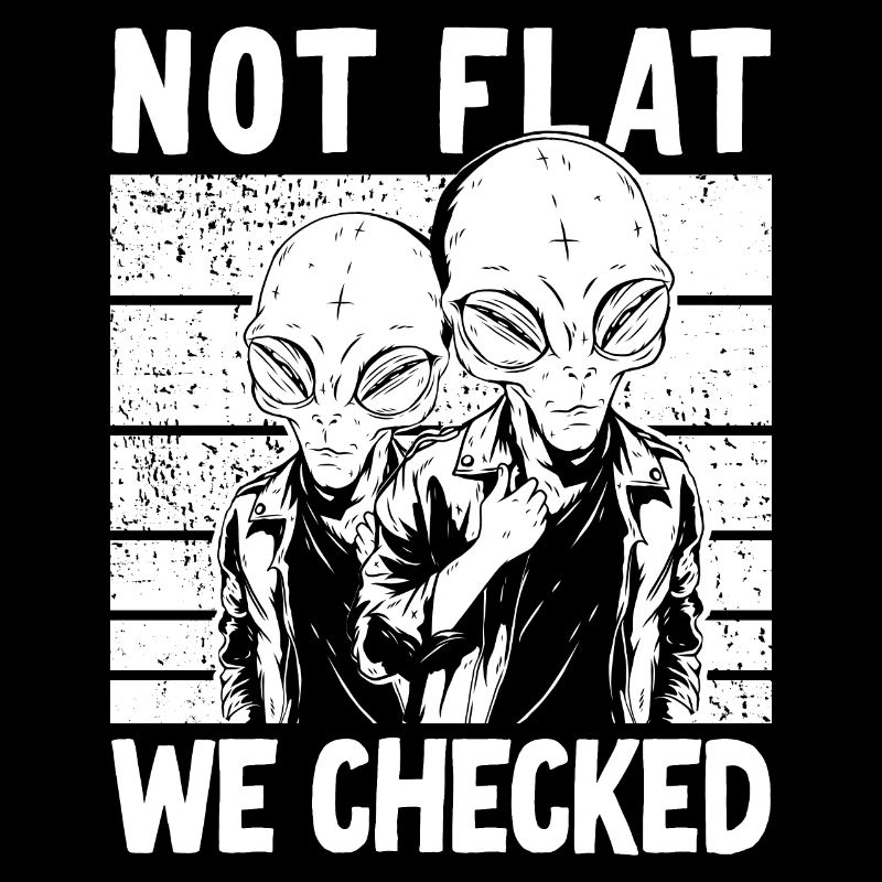 Not Flat We Checked