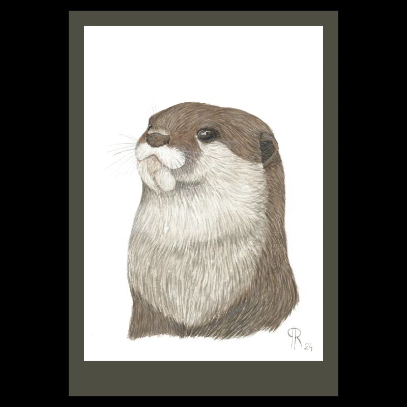 240728 Otter 3