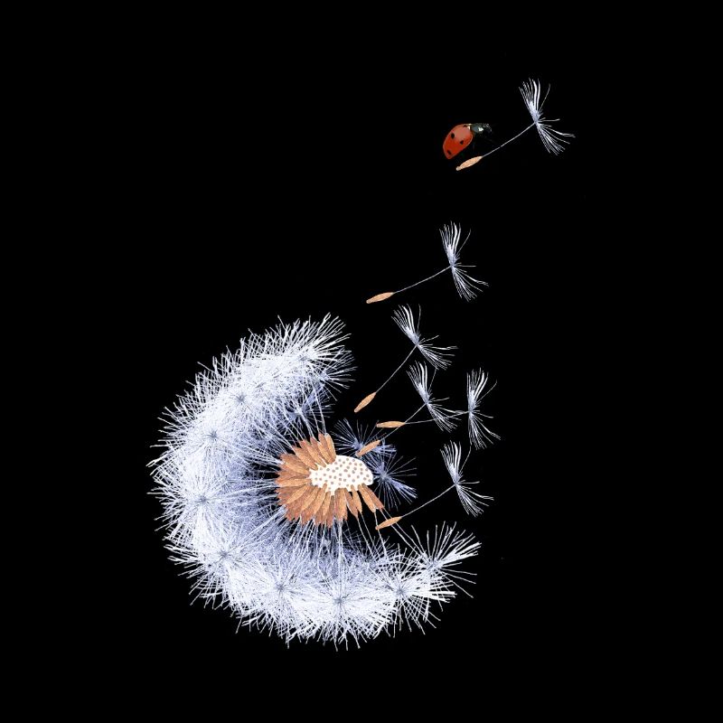 Ladybird on Dandelion Seed