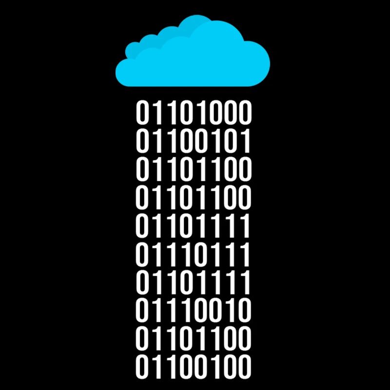 Programmeur Informaticien Codeur de code binaire