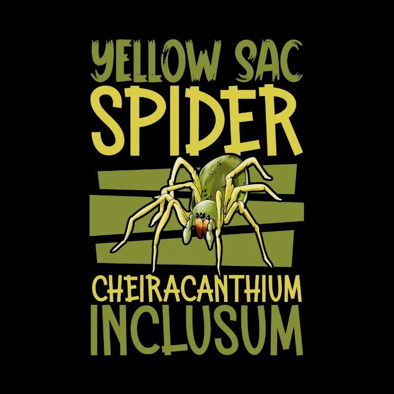 Echte Dornfinger Spinne