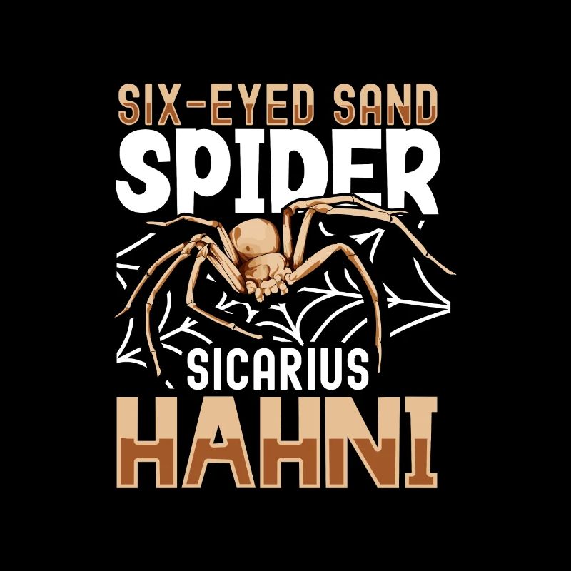 Sechsäugige Sandspinne