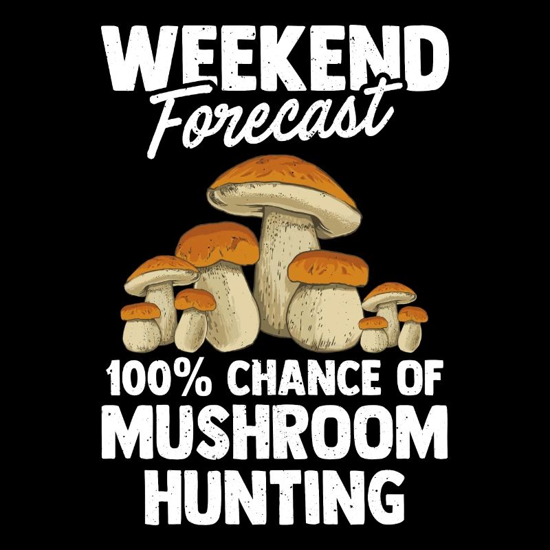 Chasse aux champignons