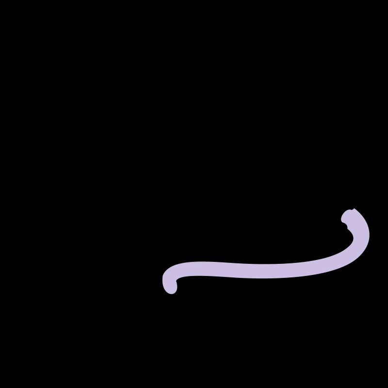 raton / rat (2c)